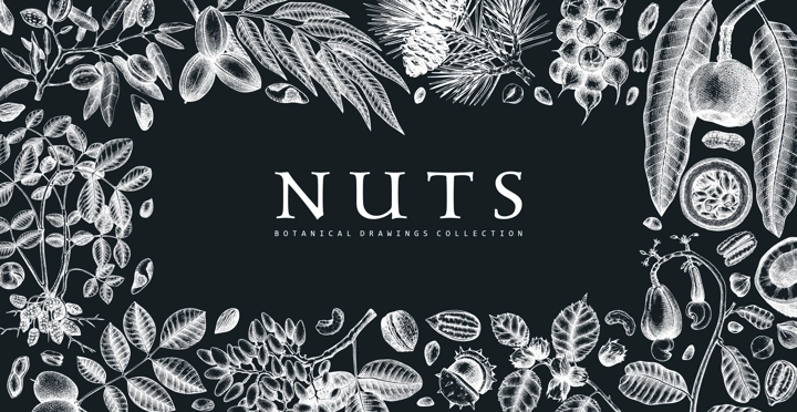 Hand drawn nuts banner on checkboard. Vegetarian product background. Vintage nuts hand-sketched frame. Healthy food vector template with botanical elements, branches, plants, fruits, nuts, nutshells. 